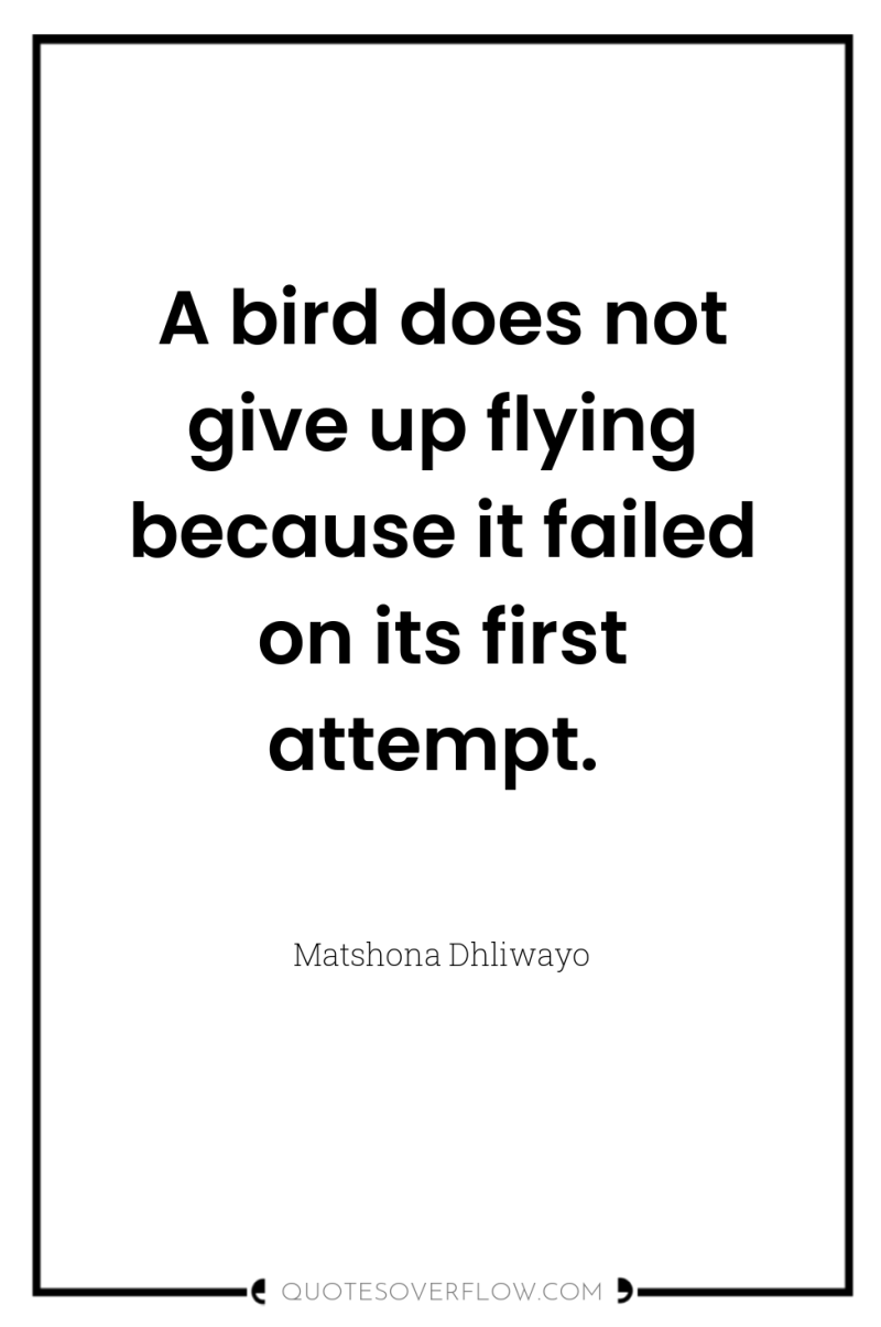 A bird does not give up flying because it failed...