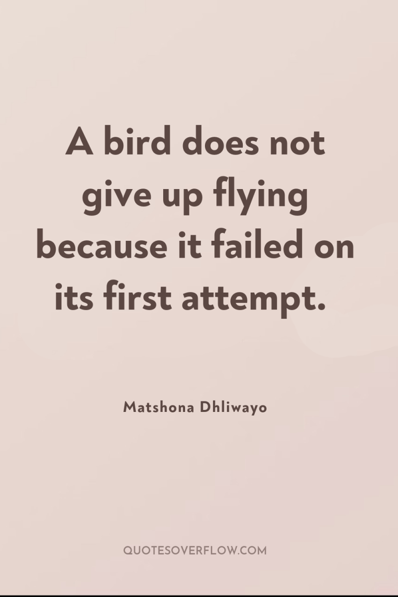 A bird does not give up flying because it failed...