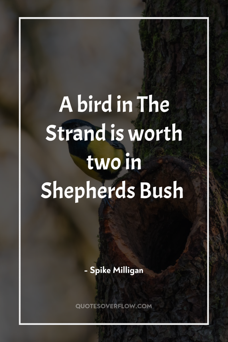 A bird in The Strand is worth two in Shepherds...