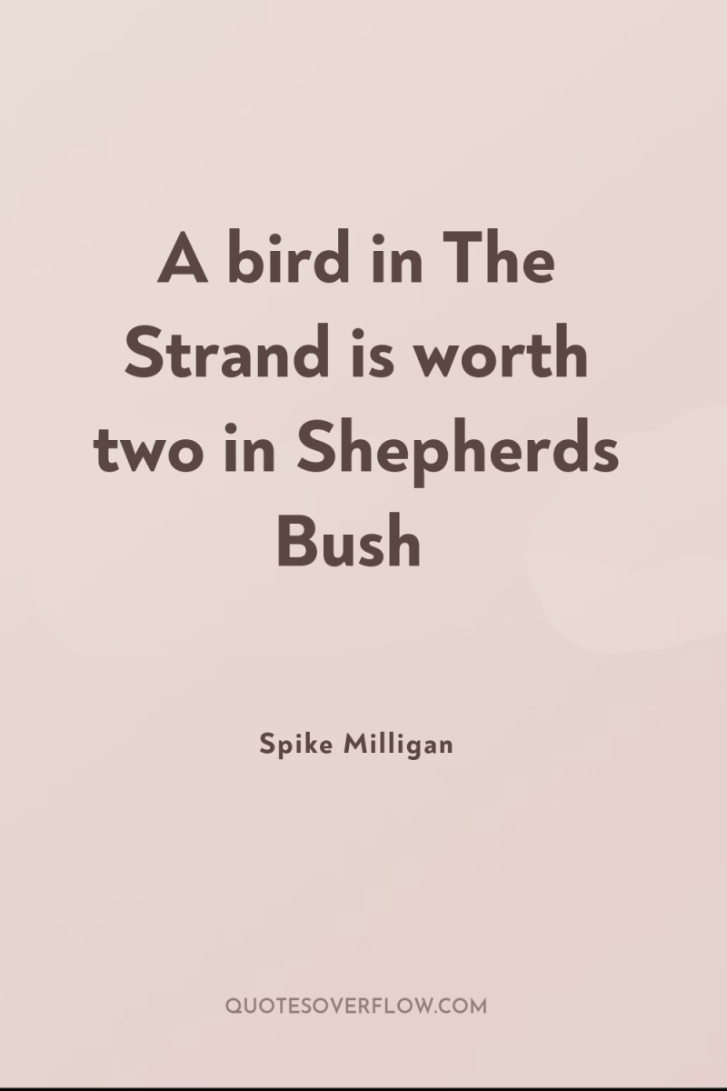 A bird in The Strand is worth two in Shepherds...