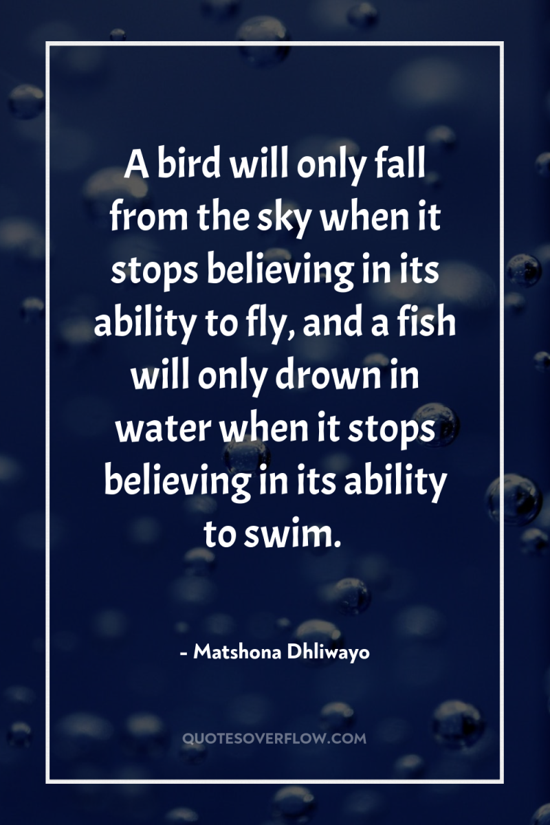 A bird will only fall from the sky when it...