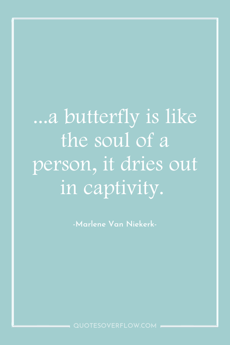 ...a butterfly is like the soul of a person, it...