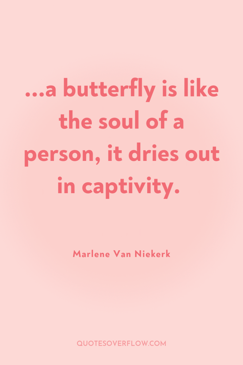 ...a butterfly is like the soul of a person, it...