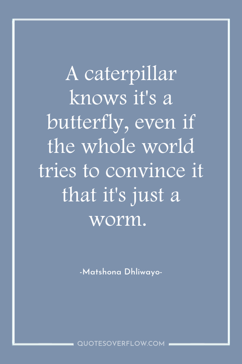 A caterpillar knows it's a butterfly, even if the whole...