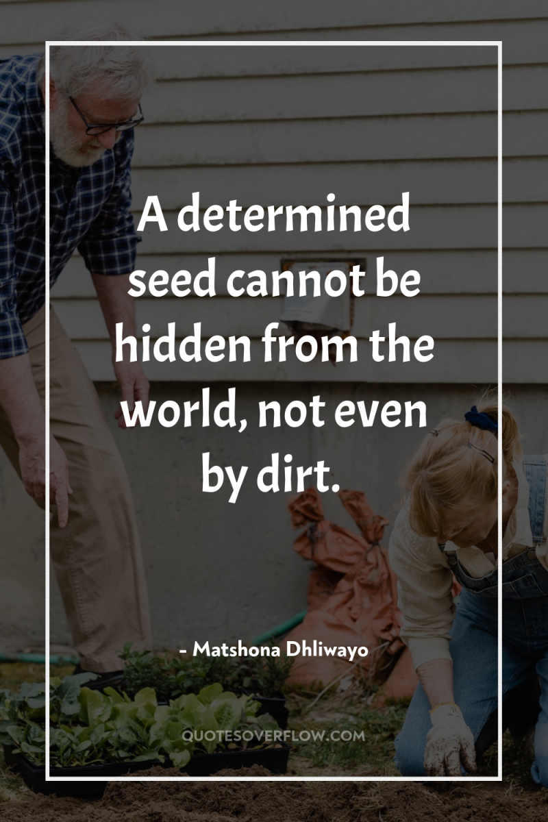 A determined seed cannot be hidden from the world, not...