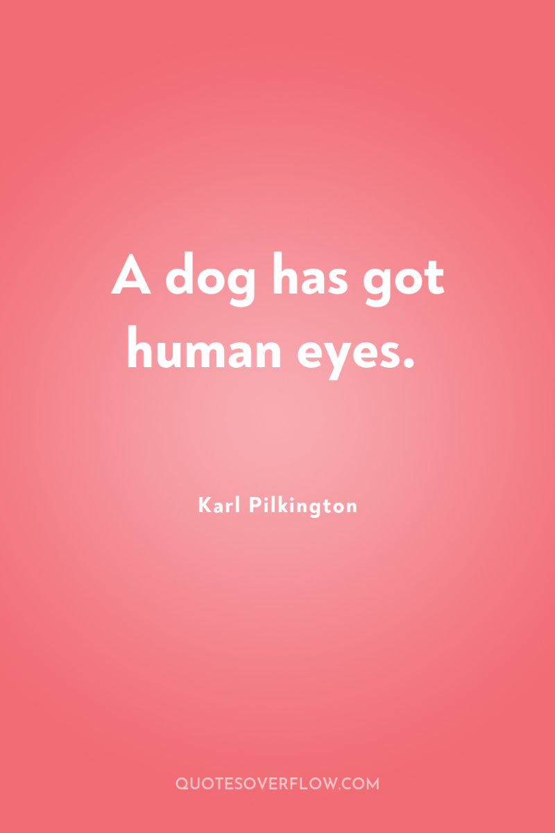 A dog has got human eyes. 