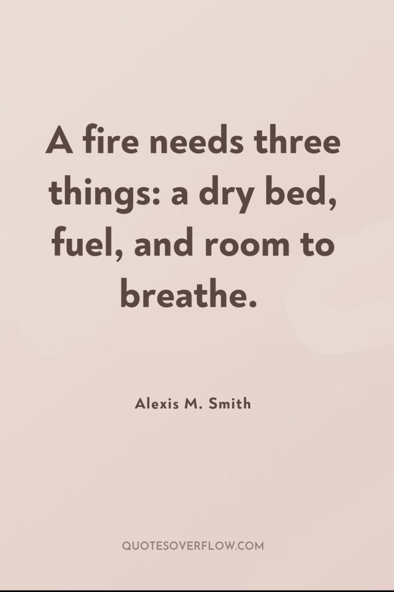 A fire needs three things: a dry bed, fuel, and...
