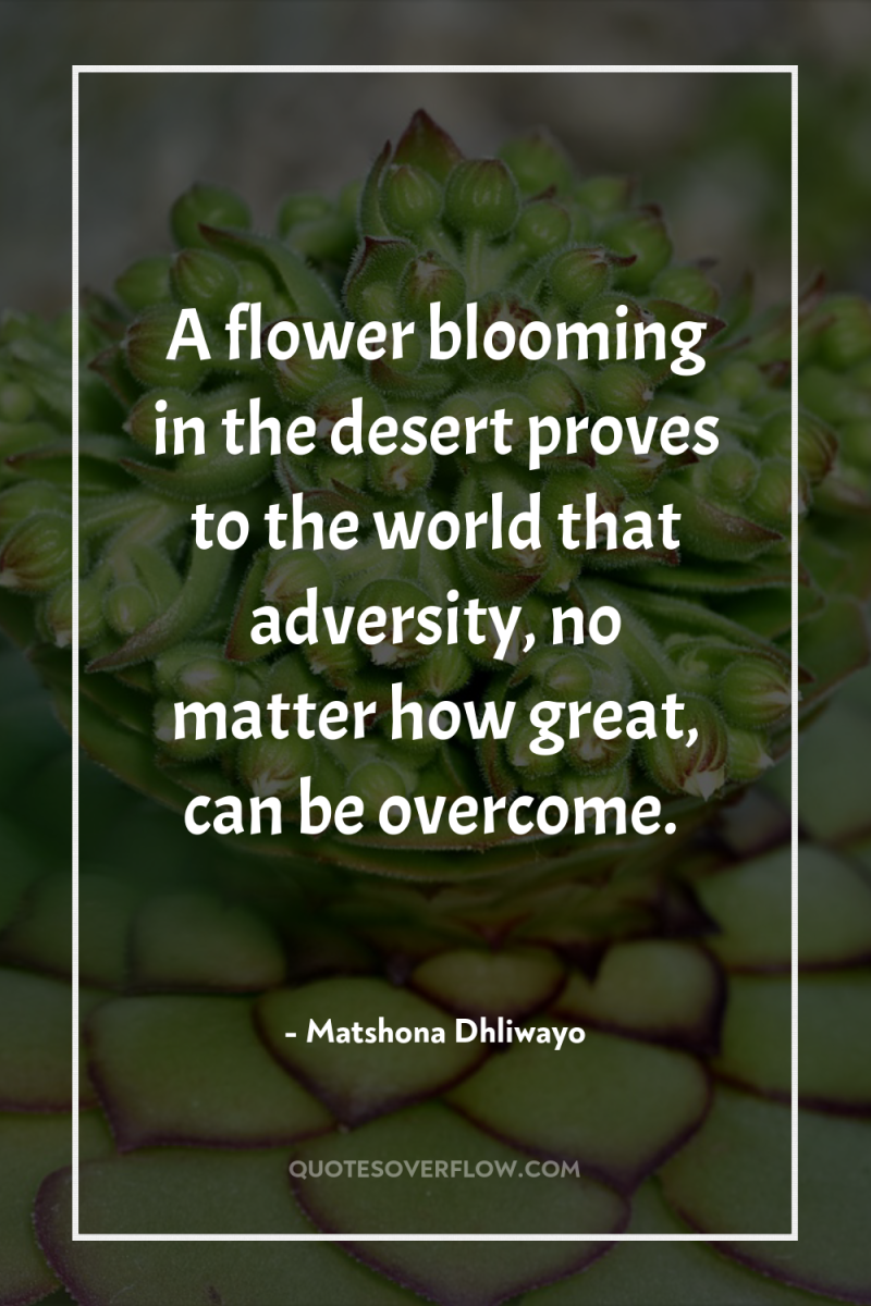 A flower blooming in the desert proves to the world...
