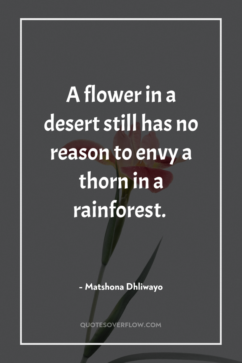 A flower in a desert still has no reason to...