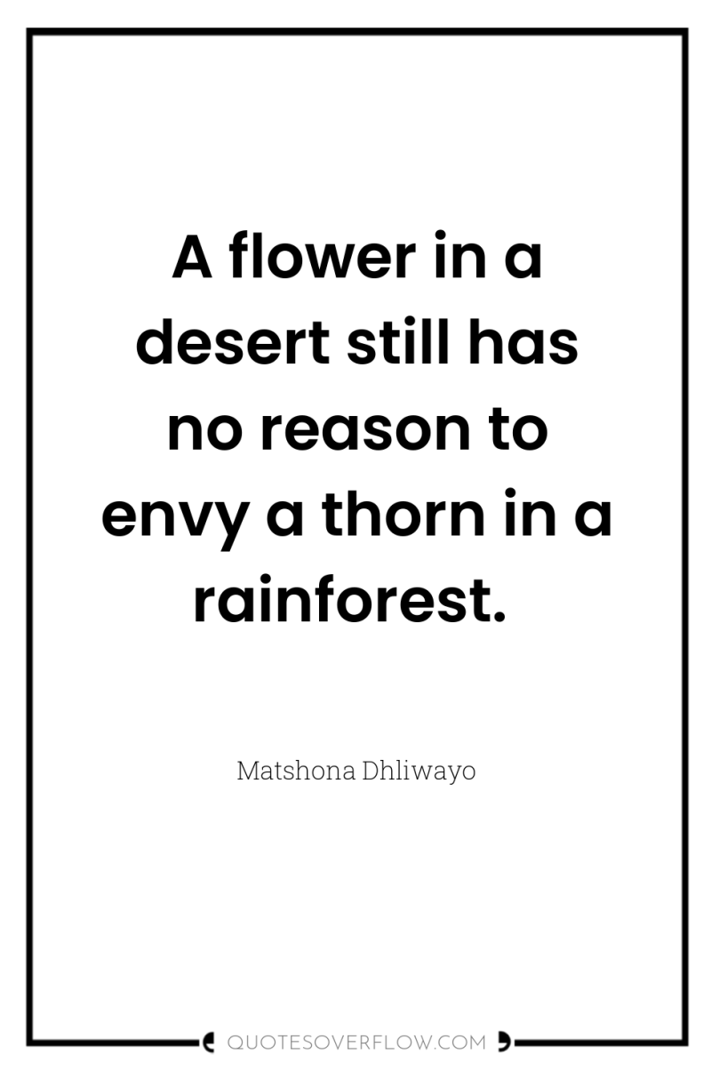 A flower in a desert still has no reason to...