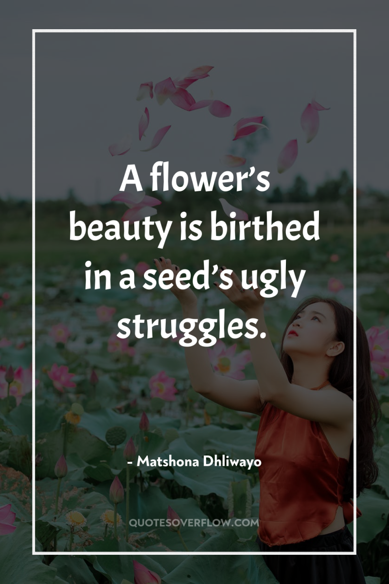 A flower’s beauty is birthed in a seed’s ugly struggles. 