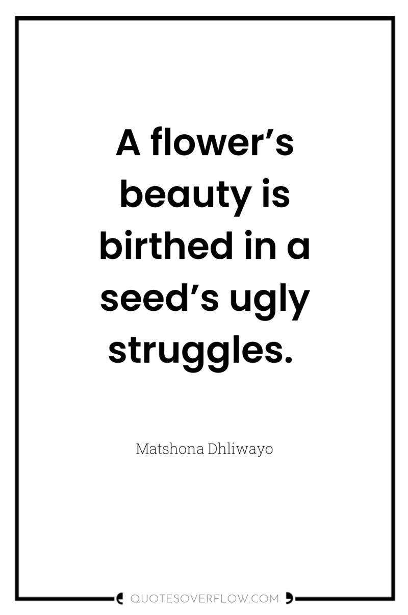 A flower’s beauty is birthed in a seed’s ugly struggles. 
