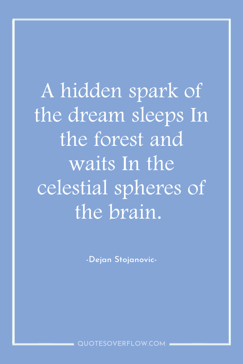 A hidden spark of the dream sleeps In the forest...