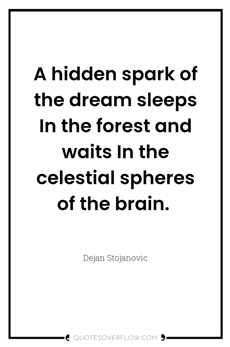 A hidden spark of the dream sleeps In the forest...