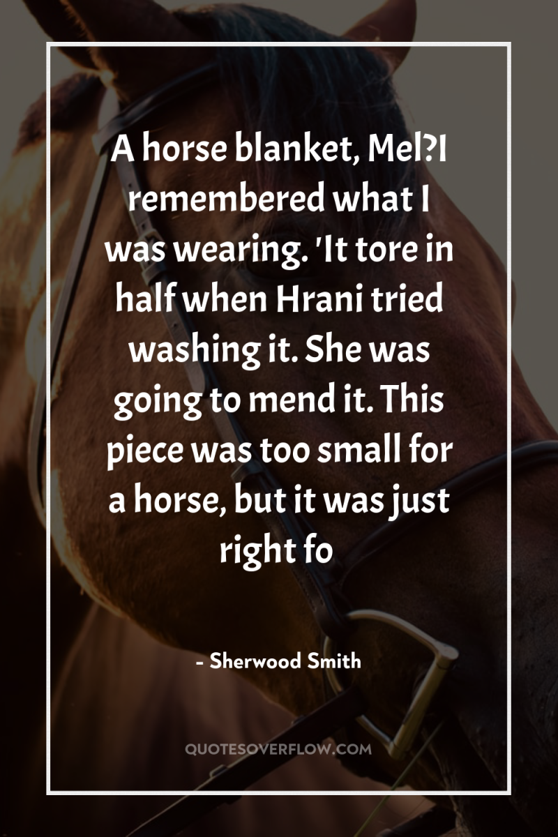 A horse blanket, Mel?I remembered what I was wearing. 'It...