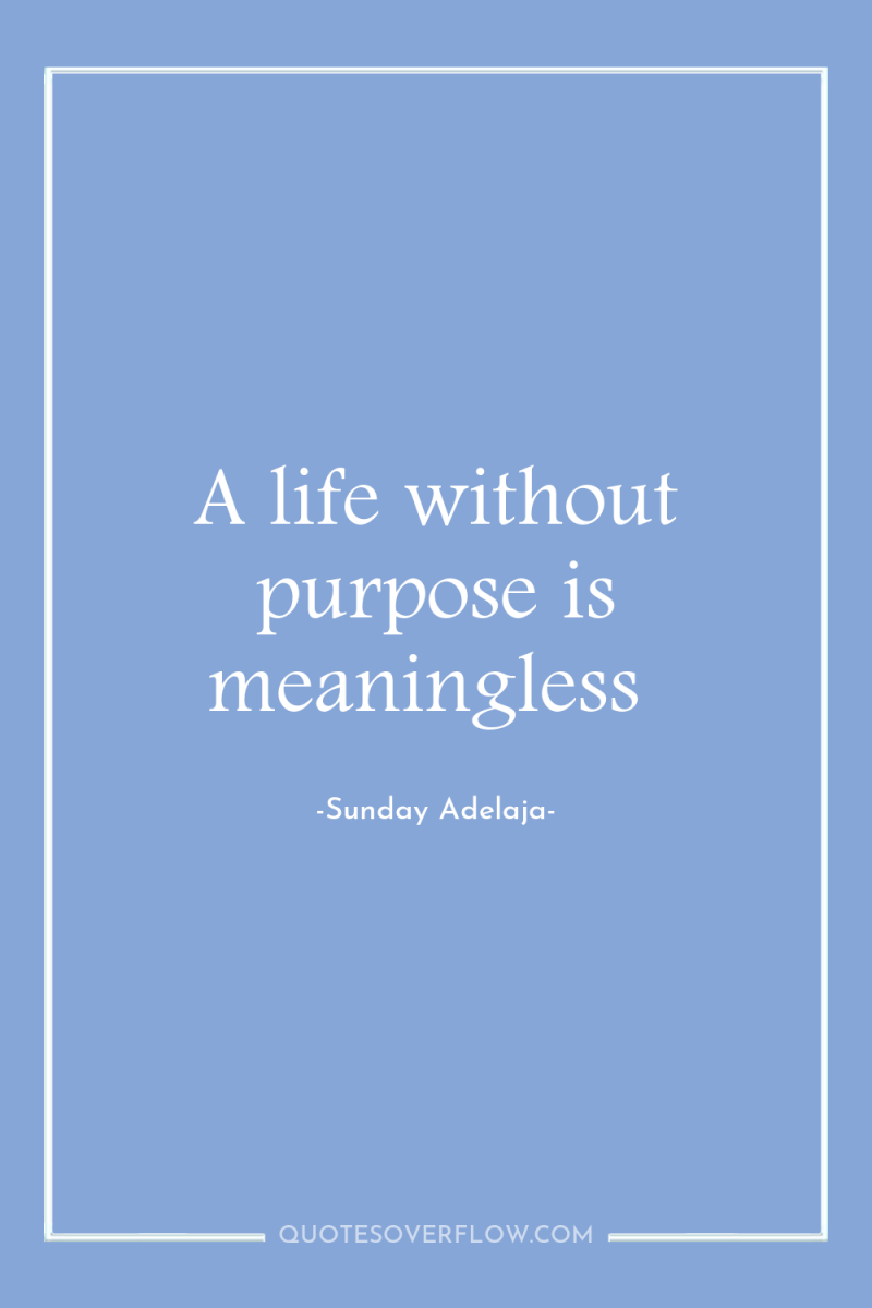 A life without purpose is meaningless 
