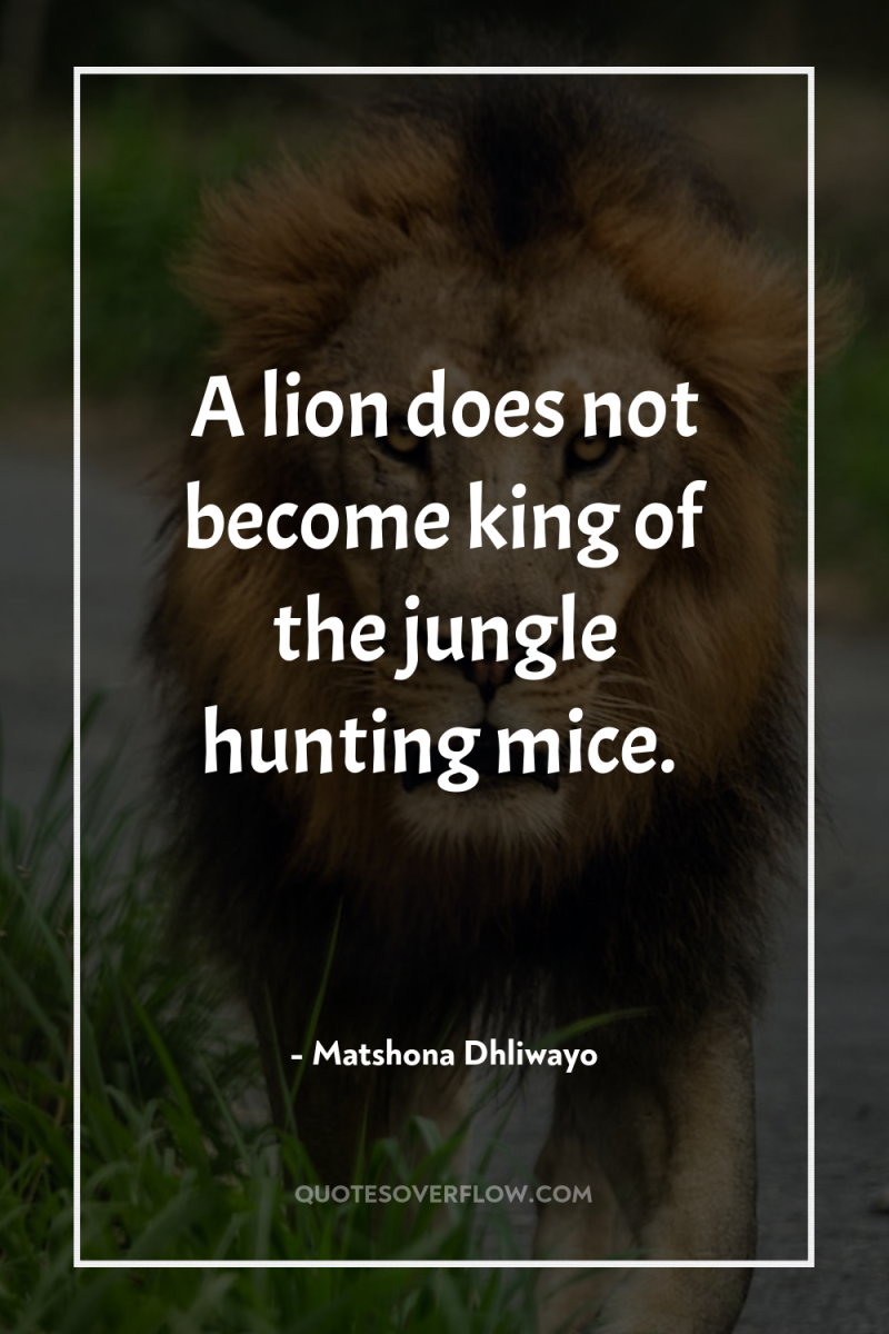 A lion does not become king of the jungle hunting...