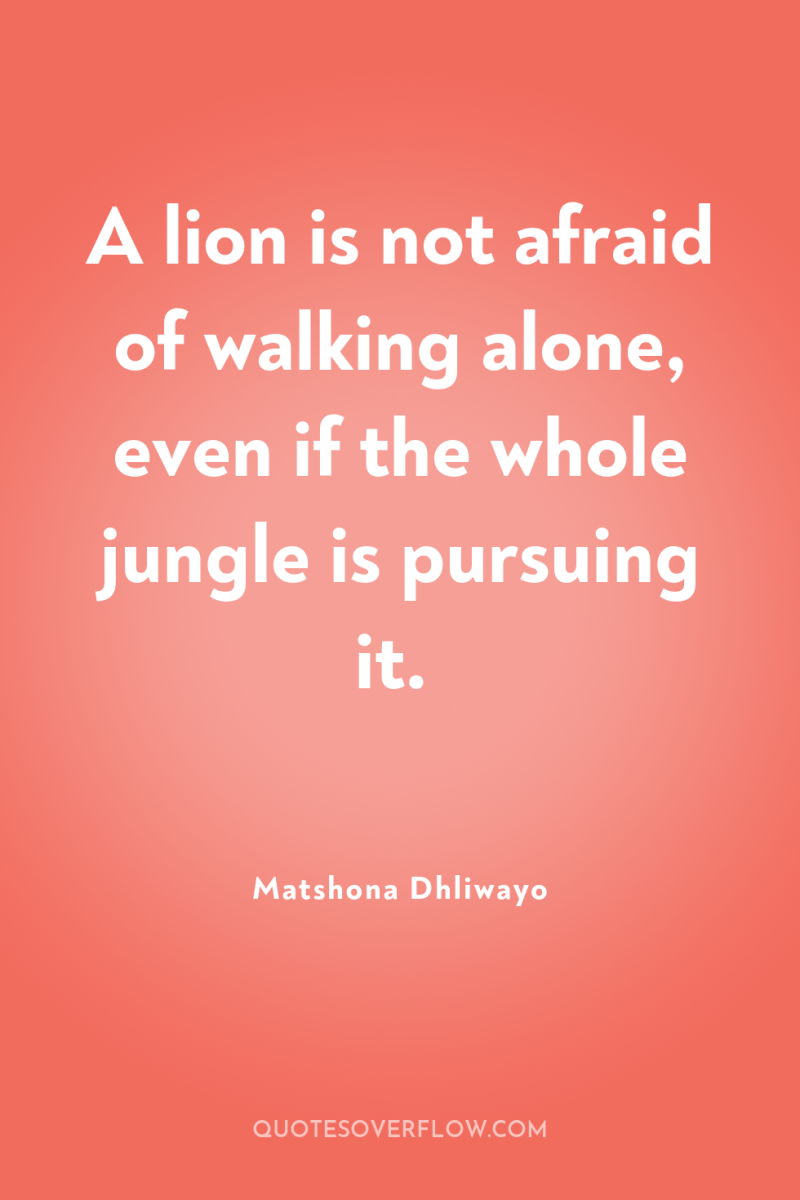 A lion is not afraid of walking alone, even if...