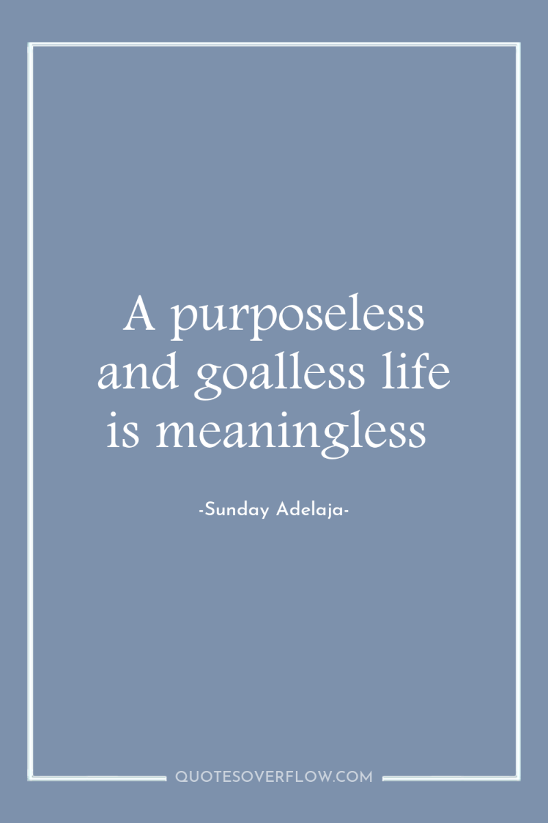 A purposeless and goalless life is meaningless 