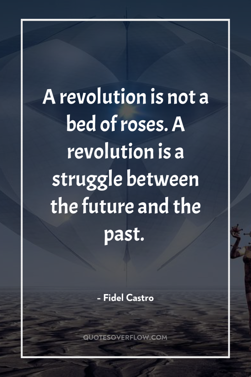 A revolution is not a bed of roses. A revolution...