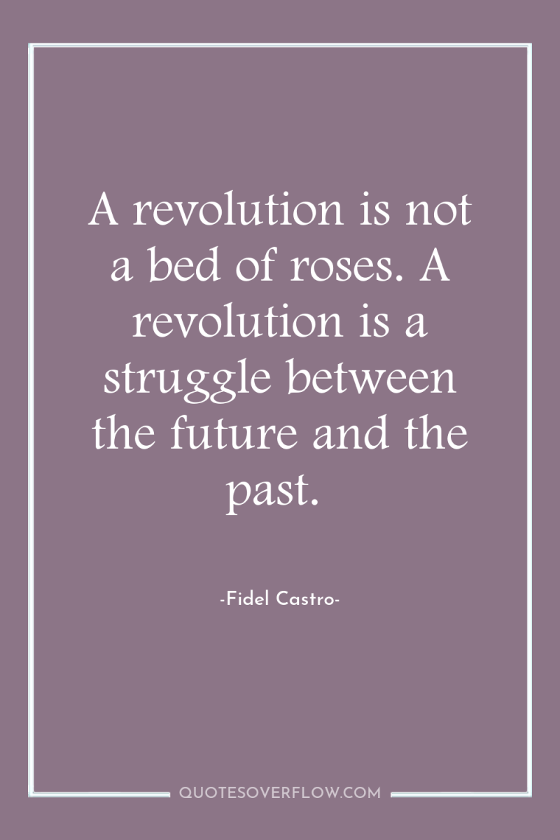 A revolution is not a bed of roses. A revolution...