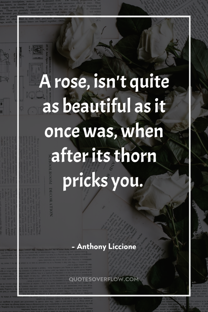 A rose, isn't quite as beautiful as it once was,...