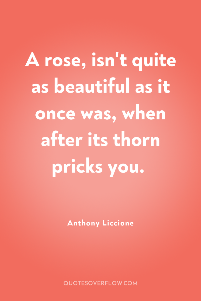 A rose, isn't quite as beautiful as it once was,...
