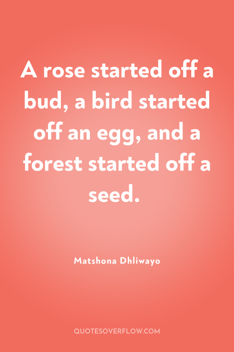 A rose started off a bud, a bird started off...