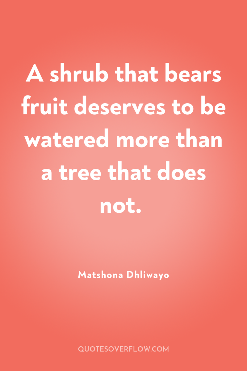 A shrub that bears fruit deserves to be watered more...