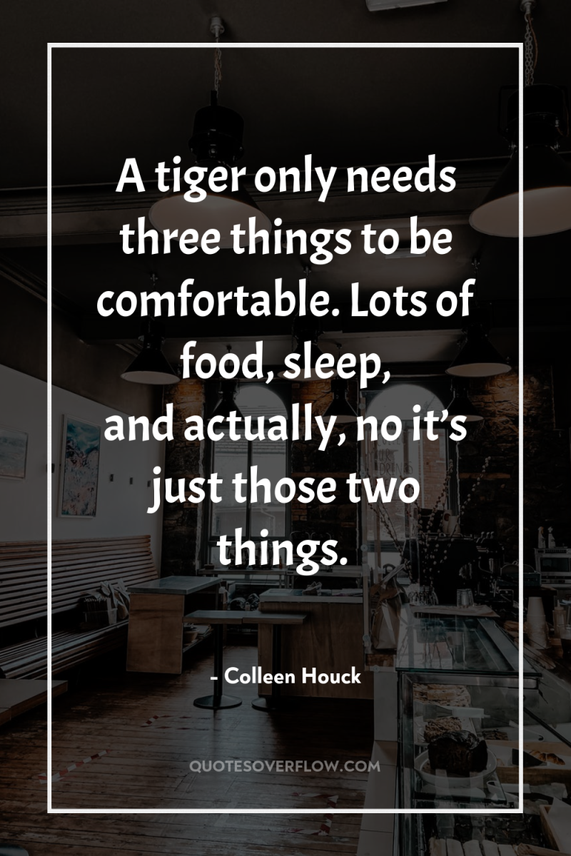 A tiger only needs three things to be comfortable. Lots...