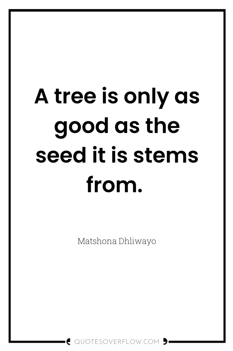 A tree is only as good as the seed it...
