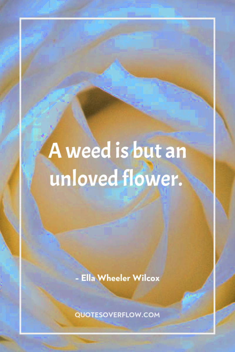 A weed is but an unloved flower. 