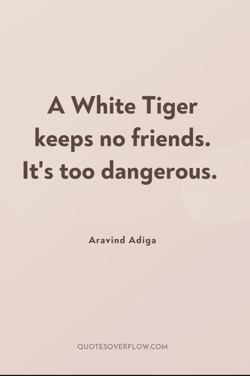 A White Tiger keeps no friends. It's too dangerous. 