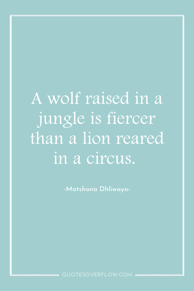A wolf raised in a jungle is fiercer than a...