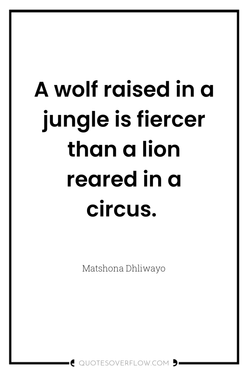 A wolf raised in a jungle is fiercer than a...