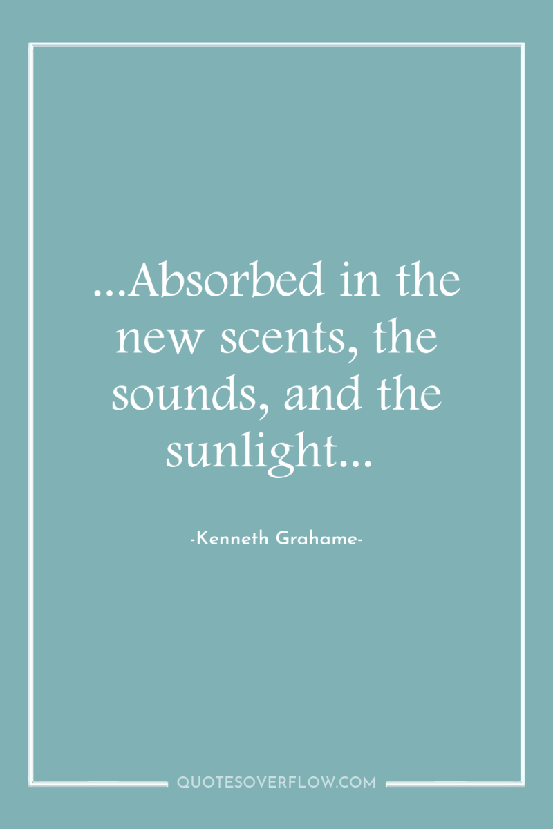 ...Absorbed in the new scents, the sounds, and the sunlight... 