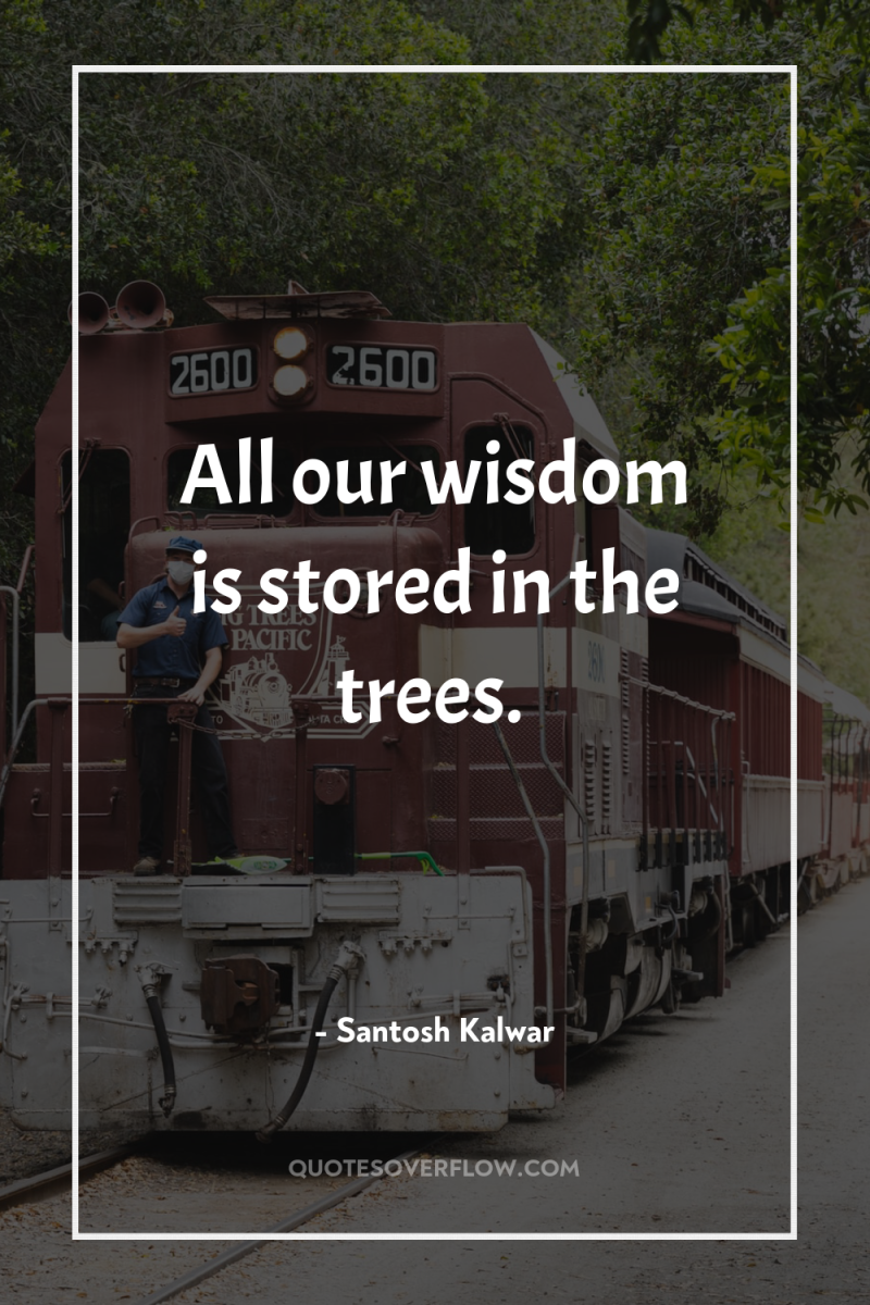 All our wisdom is stored in the trees. 