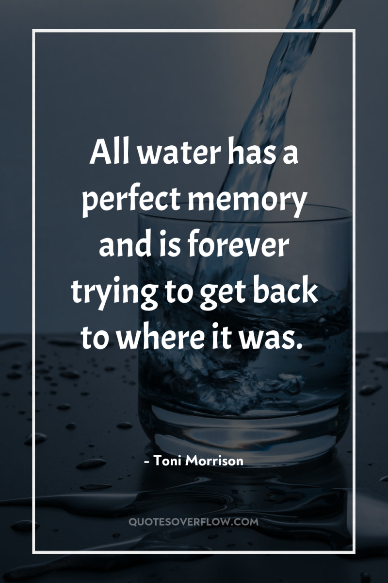 All water has a perfect memory and is forever trying...