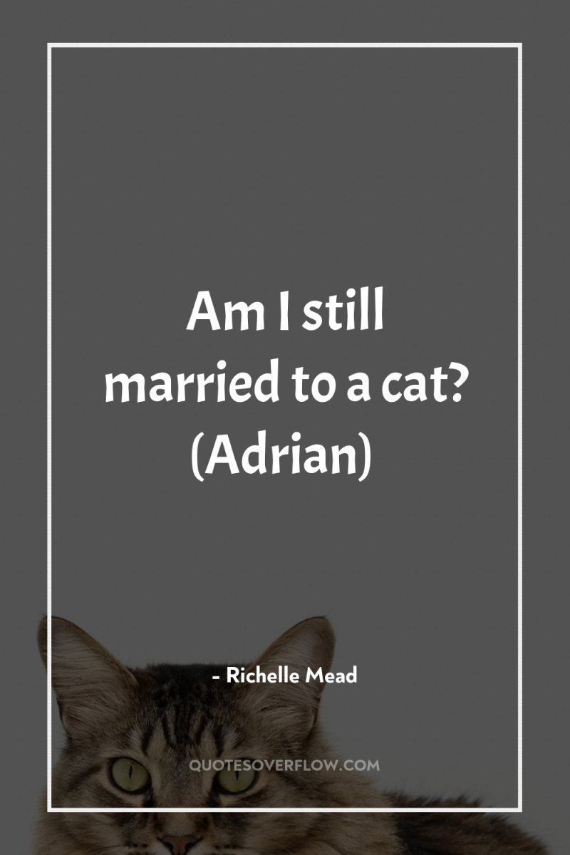Am I still married to a cat? (Adrian) 