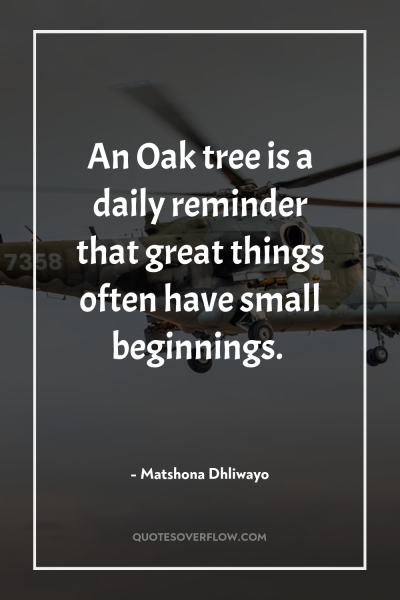 An Oak tree is a daily reminder that great things...