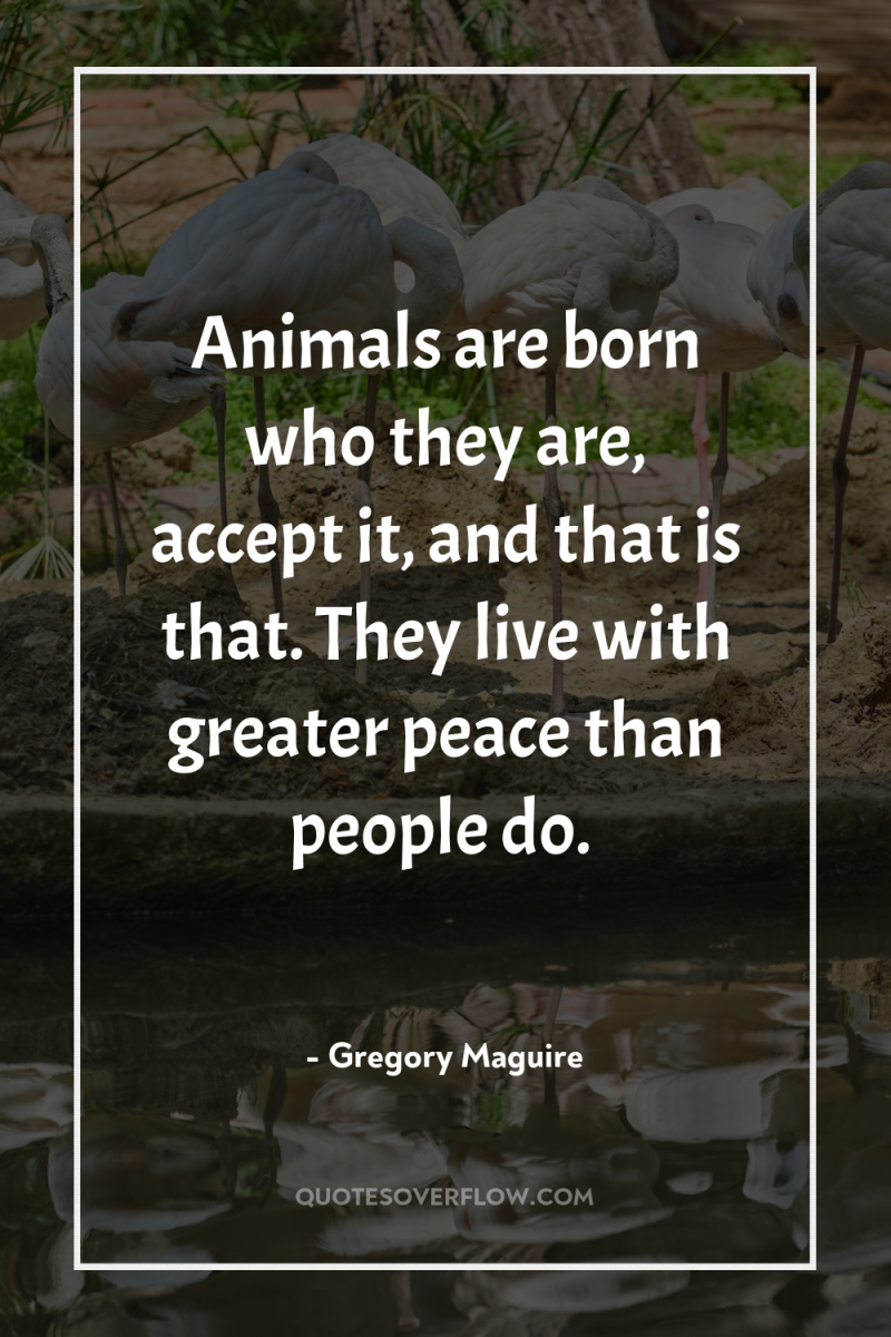 Animals are born who they are, accept it, and that...