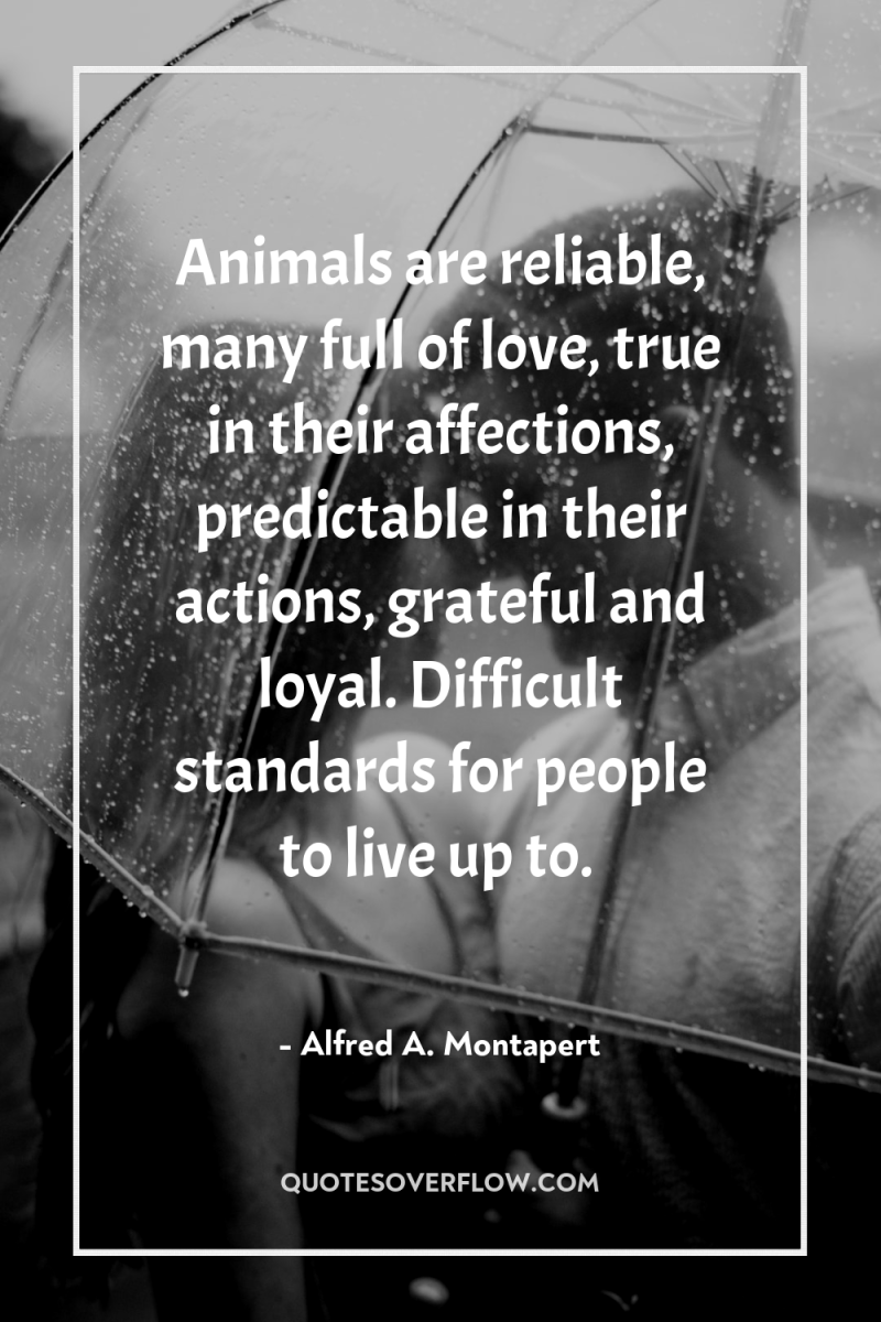 Animals are reliable, many full of love, true in their...