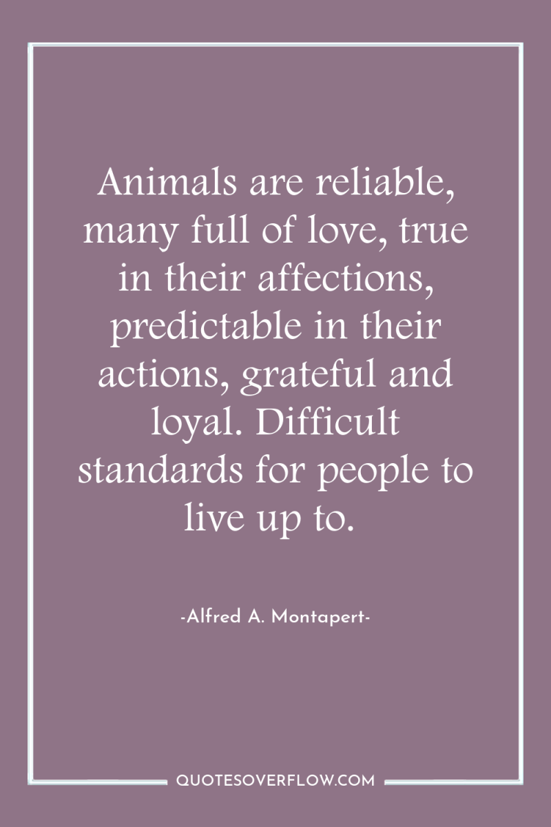 Animals are reliable, many full of love, true in their...
