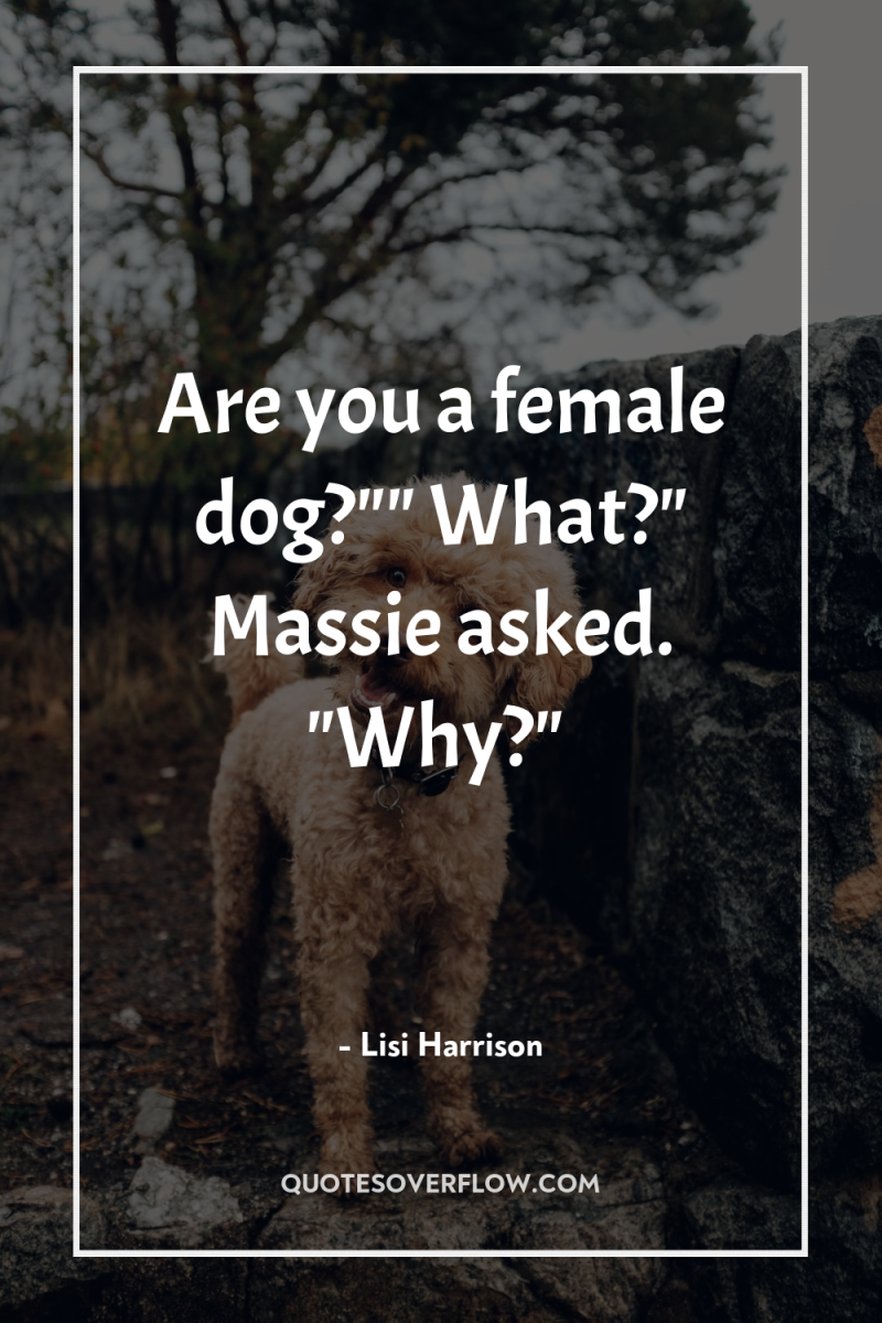 Are you a female dog?