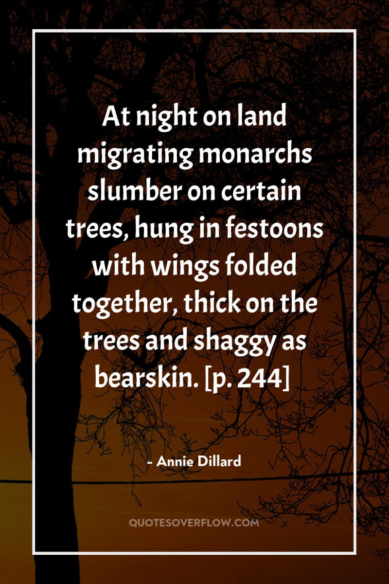 At night on land migrating monarchs slumber on certain trees,...
