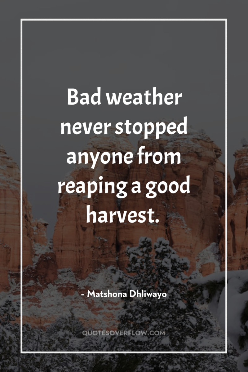 Bad weather never stopped anyone from reaping a good harvest. 