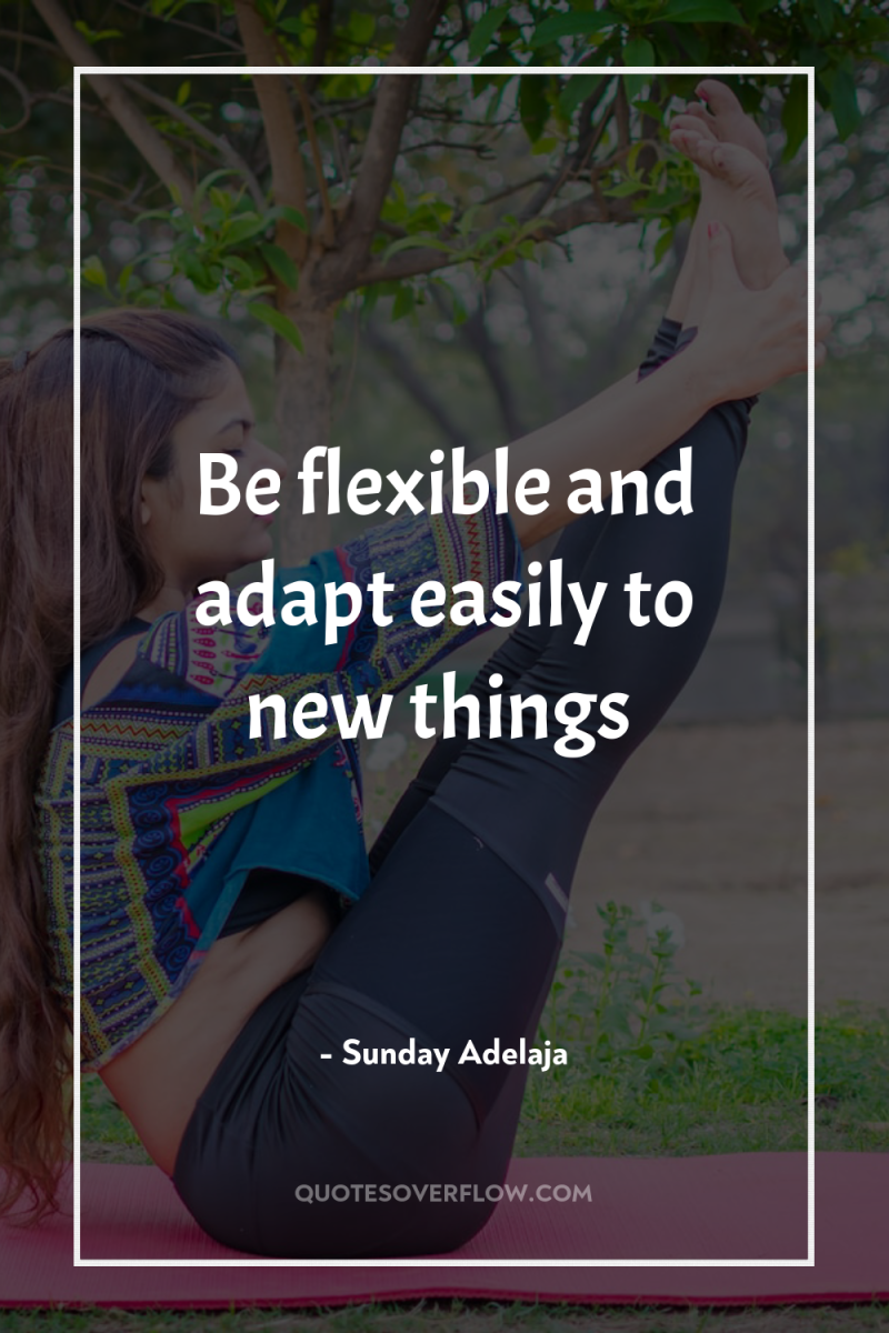 Be flexible and adapt easily to new things 