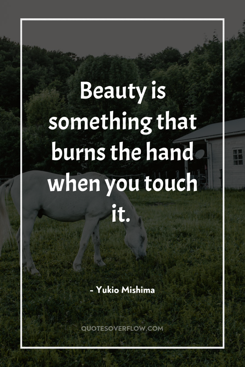 Beauty is something that burns the hand when you touch...