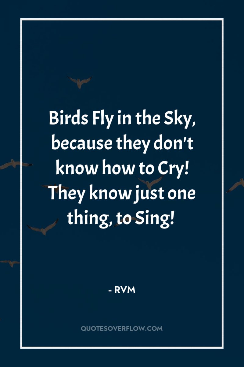 Birds Fly in the Sky, because they don't know how...