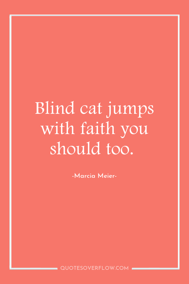 Blind cat jumps with faith you should too. 